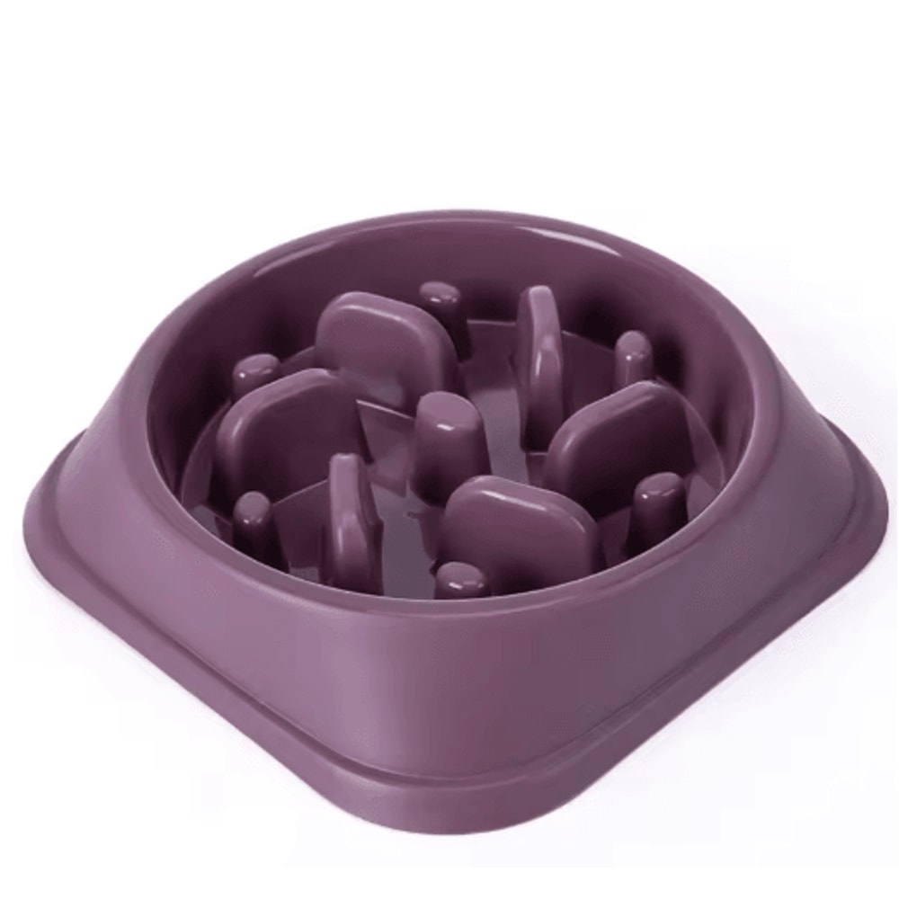 NonSlip Slow Feeder Dog Bowl AntiGulping Puzzle Feeding Dish For Puppies Small Dogs 1