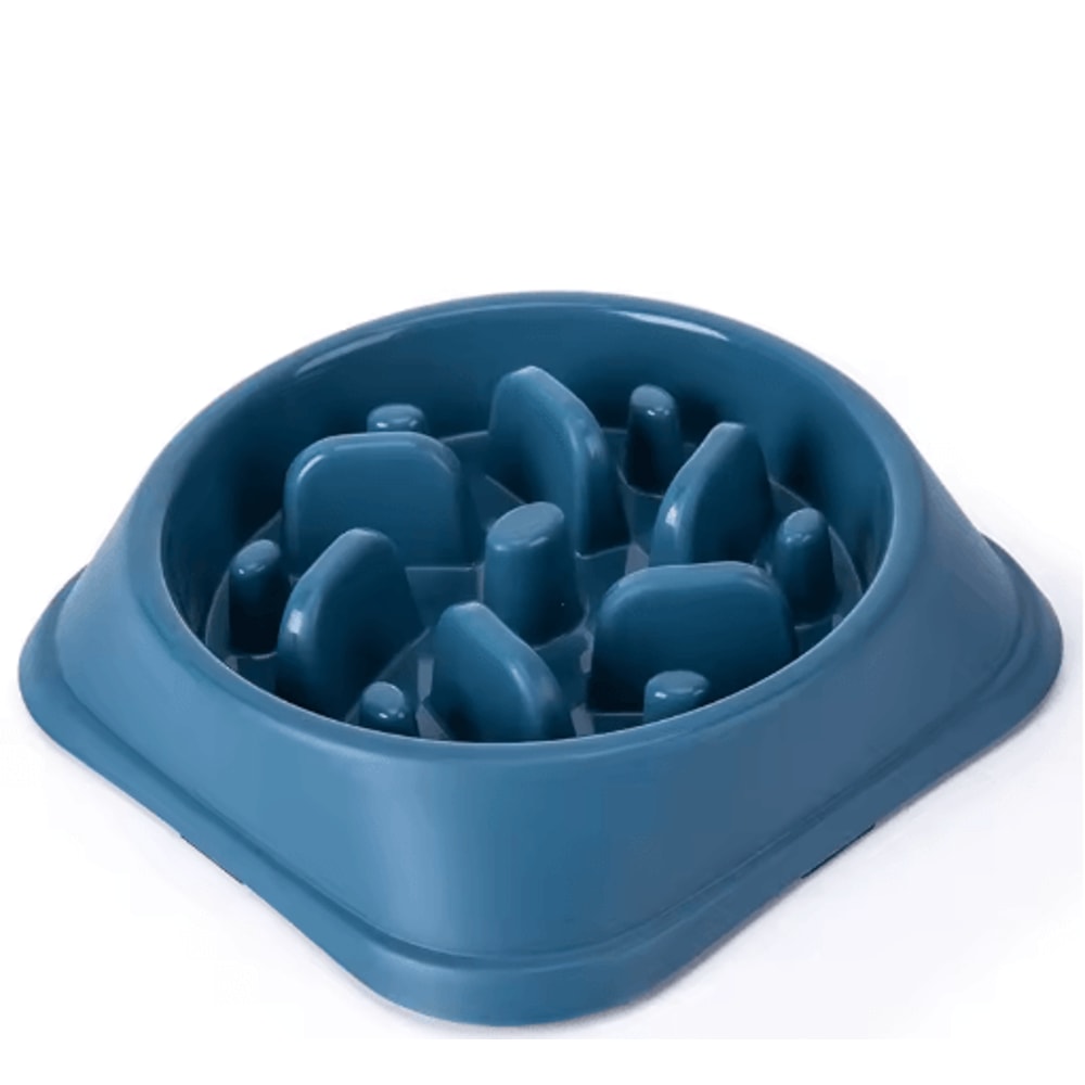 NonSlip Slow Feeder Dog Bowl AntiGulping Puzzle Feeding Dish For Puppies Small Dogs 2