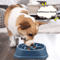 NonSlip Slow Feeder Dog Bowl AntiGulping Puzzle Feeding Dish For Puppies Small Dogs 8