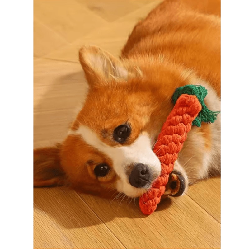 HandWoven Cotton Rope Knot Dog Toy For Teeth Grinding Chewing 5