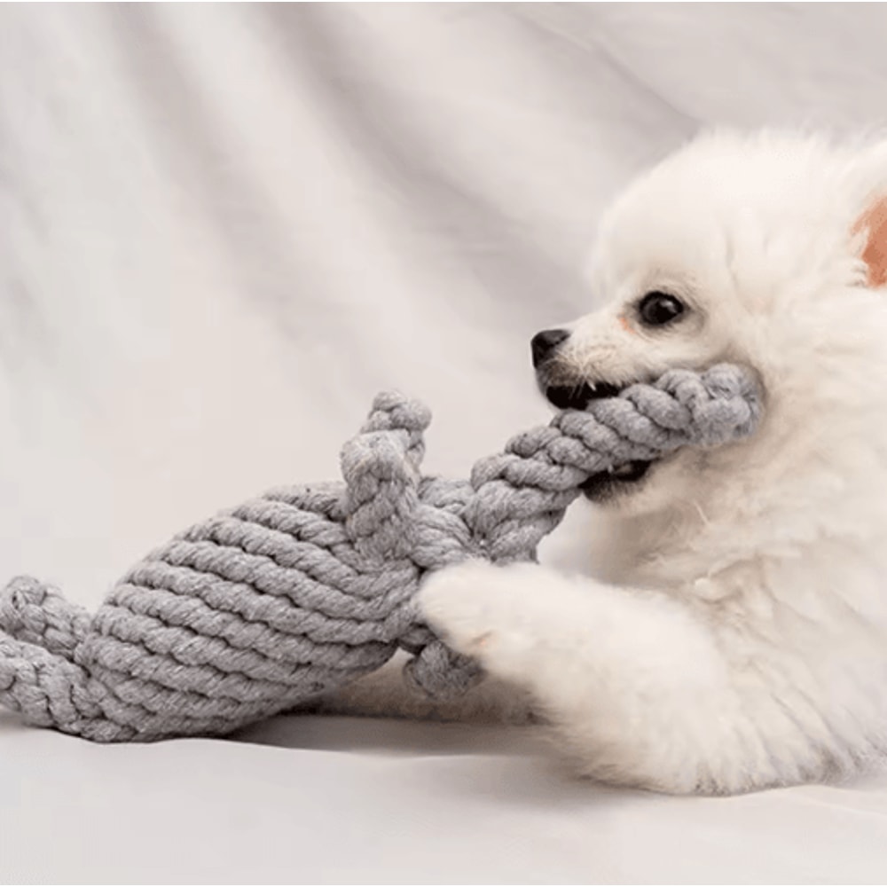 HandWoven Cotton Rope Knot Dog Toy For Teeth Grinding Chewing 7