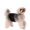 3PCS Reusable Male Dog Belly Bands Washable Breathable Dog Diapers For Puppies Adult Dogs 6