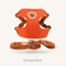 Cute Bear Pet Harness Leash Set Adjustable Breathable Vest Harness For Puppies Cats Dogs 1