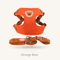 Cute Bear Pet Harness Leash Set Adjustable Breathable Vest Harness For Puppies Cats Dogs 1