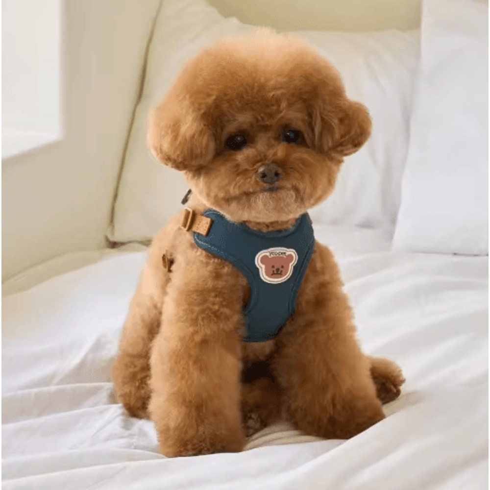 Cute Bear Pet Harness Leash Set Adjustable Breathable Vest Harness For Puppies Cats Dogs 0