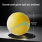 HOOPET Glow Dog Toy Ball Durable Rubber Fetch Ball For Active Dogs Puppies 10
