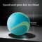 HOOPET Glow Dog Toy Ball Durable Rubber Fetch Ball For Active Dogs Puppies 7