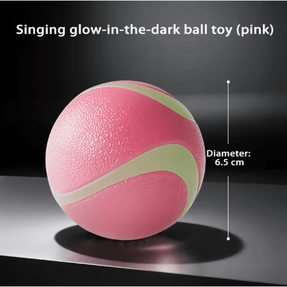 HOOPET Glow Dog Toy Ball Durable Rubber Fetch Ball For Active Dogs Puppies 9