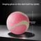 HOOPET Glow Dog Toy Ball Durable Rubber Fetch Ball For Active Dogs Puppies 9