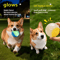 HOOPET Glow Dog Toy Ball Durable Rubber Fetch Ball For Active Dogs Puppies 15