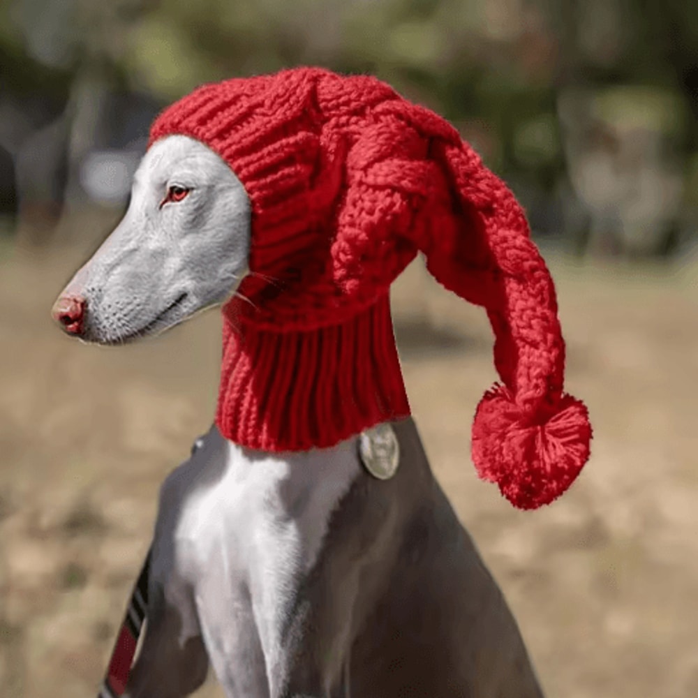 HandKnit Winter Wool Greyhound Snood Hat For Large Dogs Warm Beanie Accessories For Whippets Sight 6