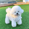 Cute Polka Dot Pet Dress Shirt For Dogs Cats Sweet Puppy Skirt Outfit 9