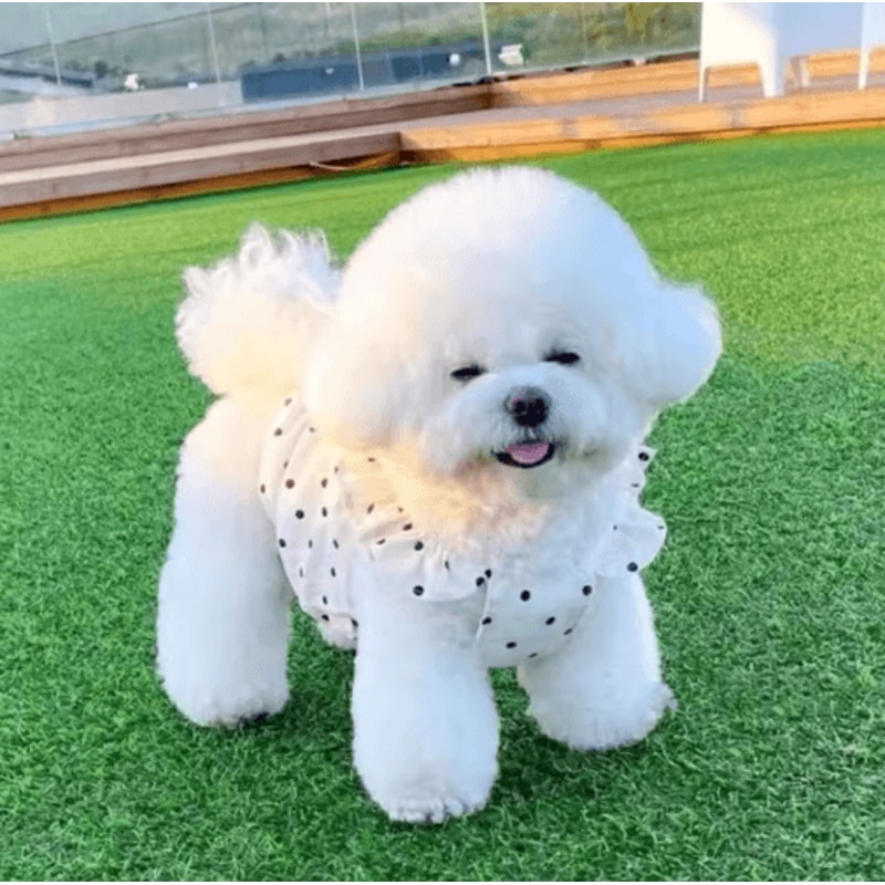 Cute Polka Dot Pet Dress Shirt For Dogs Cats Sweet Puppy Skirt Outfit 9