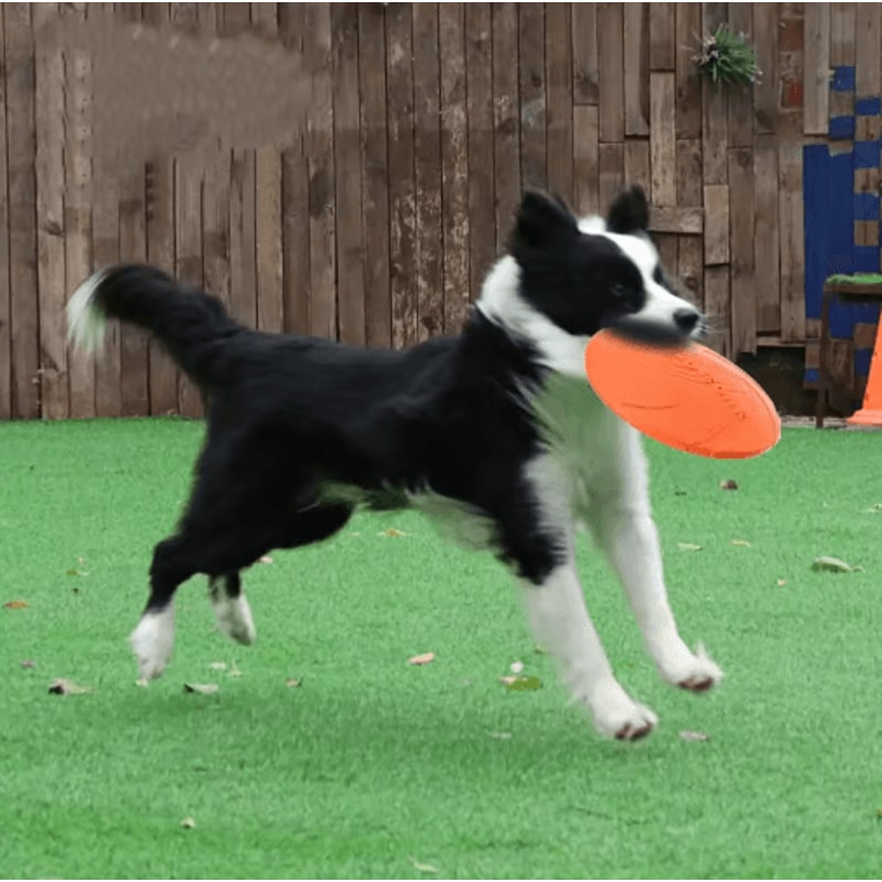 Interactive Silicone Flying Disc Toy For Dogs Cats Chew Resistant Training Flying Saucer 7