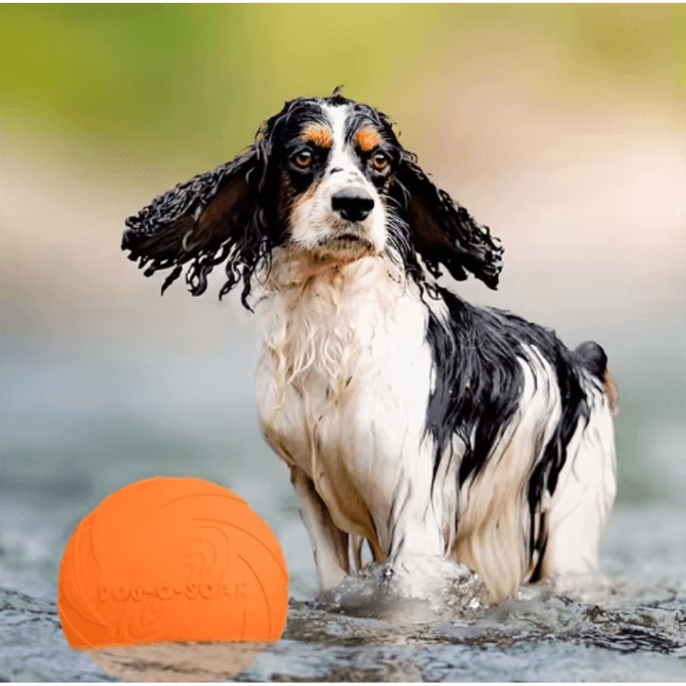 Interactive Silicone Flying Disc Toy For Dogs Cats Chew Resistant Training Flying Saucer 8
