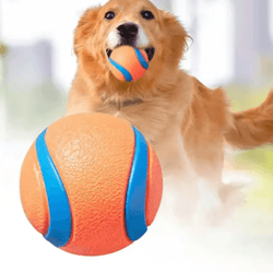 tough elastic dog fetch ball – durable chew & jumping toy for dogs of all sizes