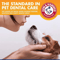 Pet Dental Care Kit Toothbrush Toothpaste Set For Dogs Cats 7