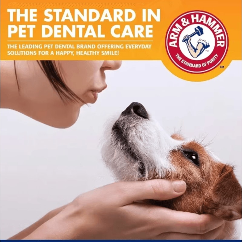 Pet Dental Care Kit Toothbrush Toothpaste Set For Dogs Cats 7