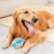 Hedgehog Treat Dispensing Dog Toy Teeth Grinding Slow Feeding Interactive Ball 7