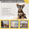 Adjustable Dog Sunglasses With UV Protection Windproof Pet Goggles For Small Medium Dogs 3