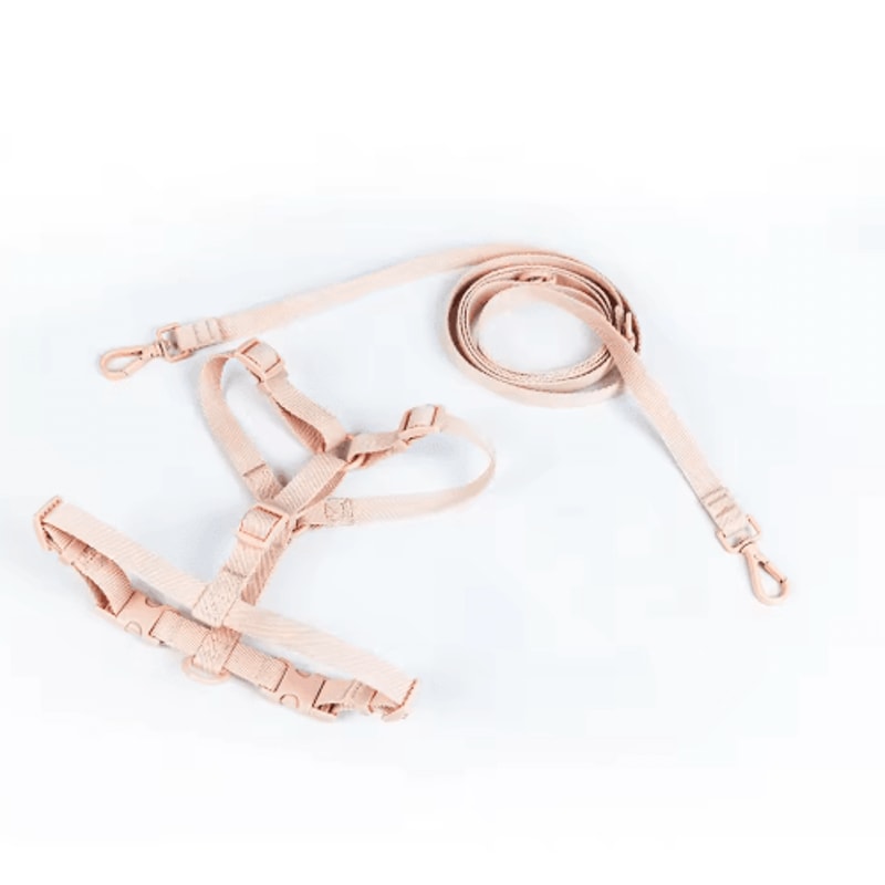 Macaron Dual Head Pet Harness Leash Set Adjustable Vest For Small Medium Dogs 5