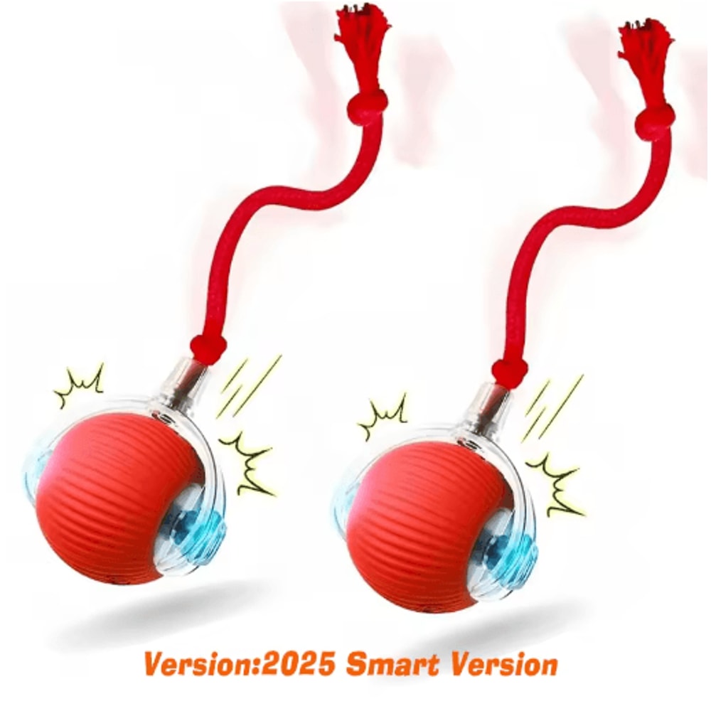 Smart Automatic Rolling Dog Ball Rechargeable Interactive Toy For Puppies Dogs 1