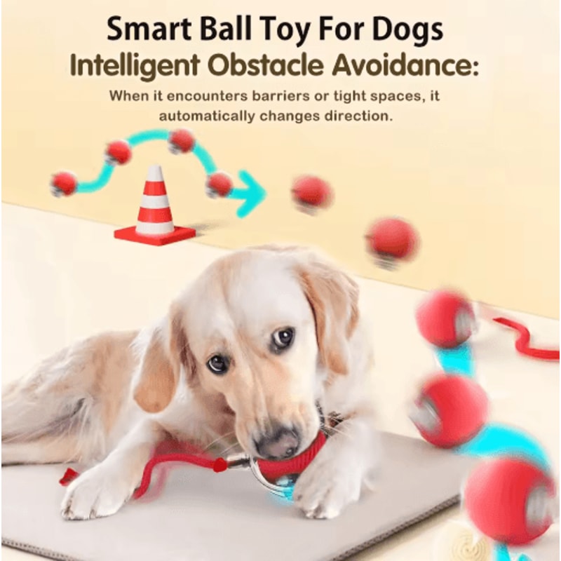 Smart Automatic Rolling Dog Ball Rechargeable Interactive Toy For Puppies Dogs 7