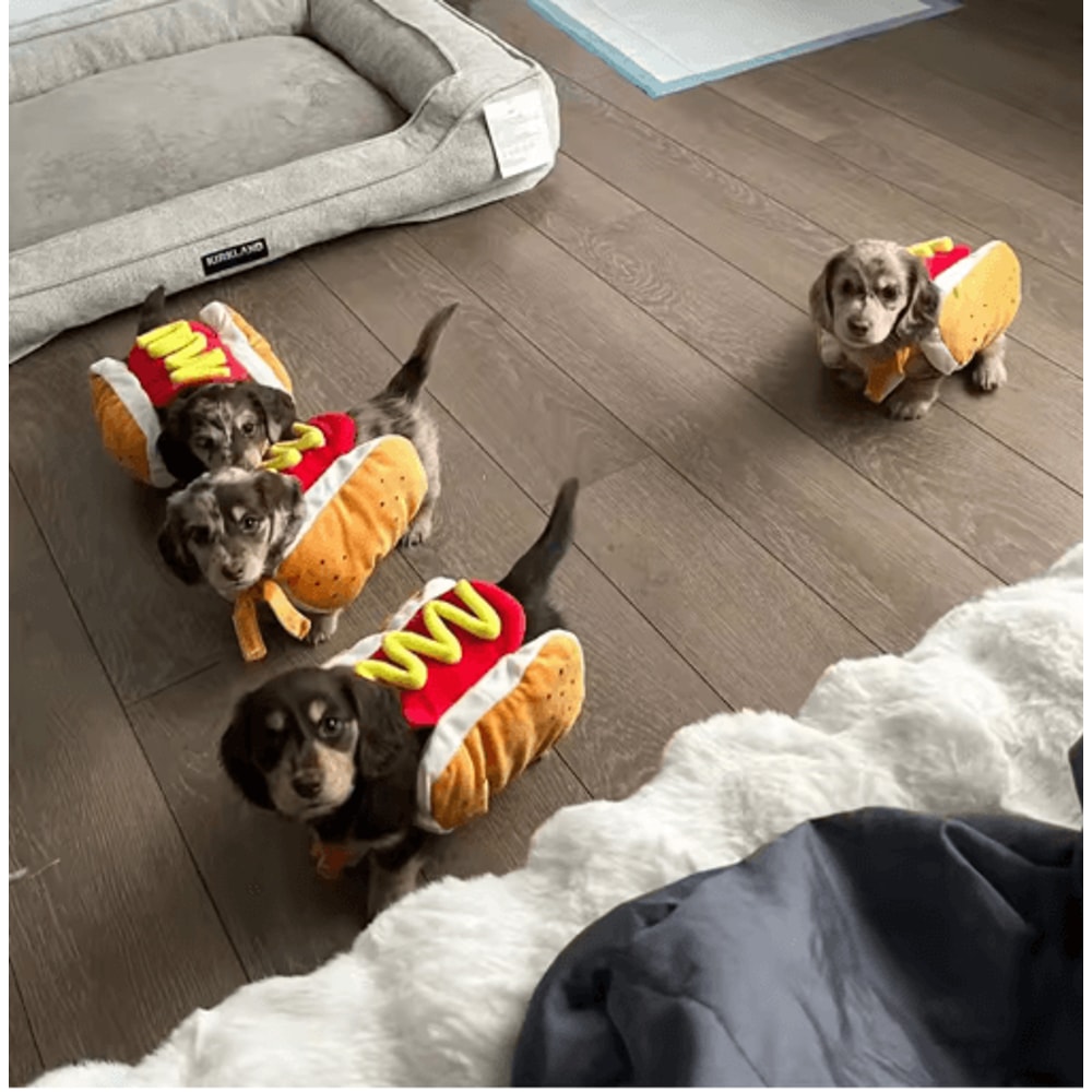 Funny Holiday Pet Costume Adjustable Cosplay Outfit For Dogs Cats 6