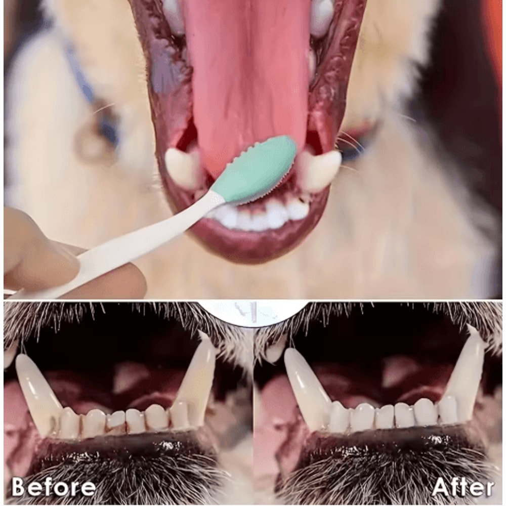 Soft Double Sided Dog Toothbrush Set Gentle Pet Teeth Cleaning Brushes 510PCS 3