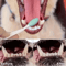 Soft Double Sided Dog Toothbrush Set Gentle Pet Teeth Cleaning Brushes 510PCS 3