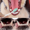 Soft Double Sided Dog Toothbrush Set Gentle Pet Teeth Cleaning Brushes 510PCS 3