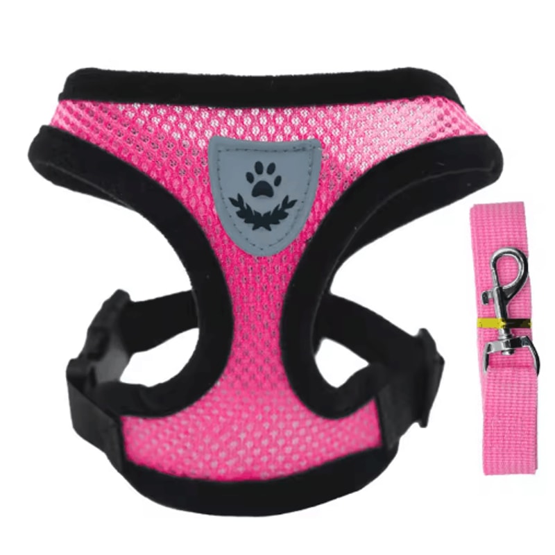 Breathable Summer Dog Harness Leash Set Lightweight Pet Chest Vest For Small Dogs Cats 1