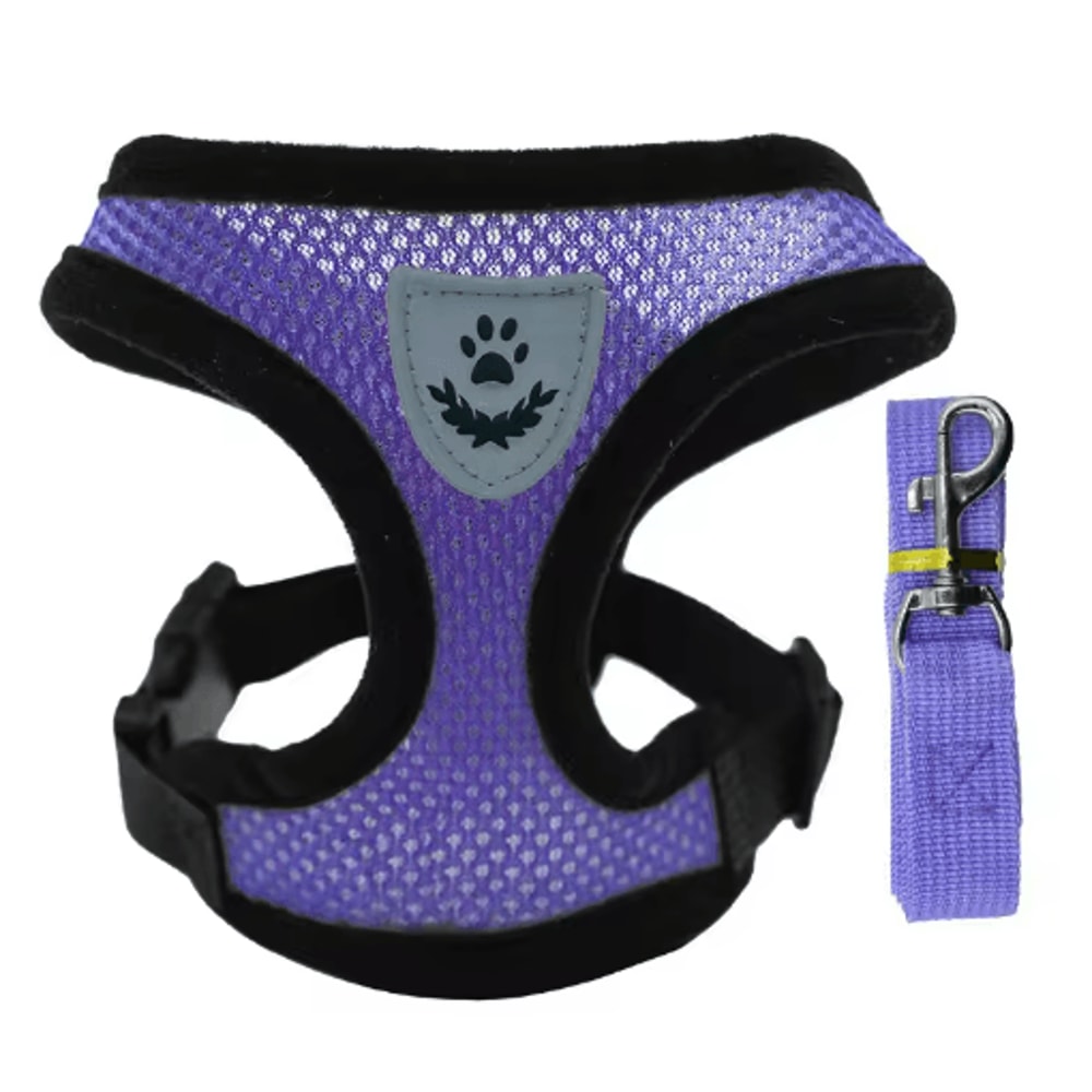 Breathable Summer Dog Harness Leash Set Lightweight Pet Chest Vest For Small Dogs Cats 2