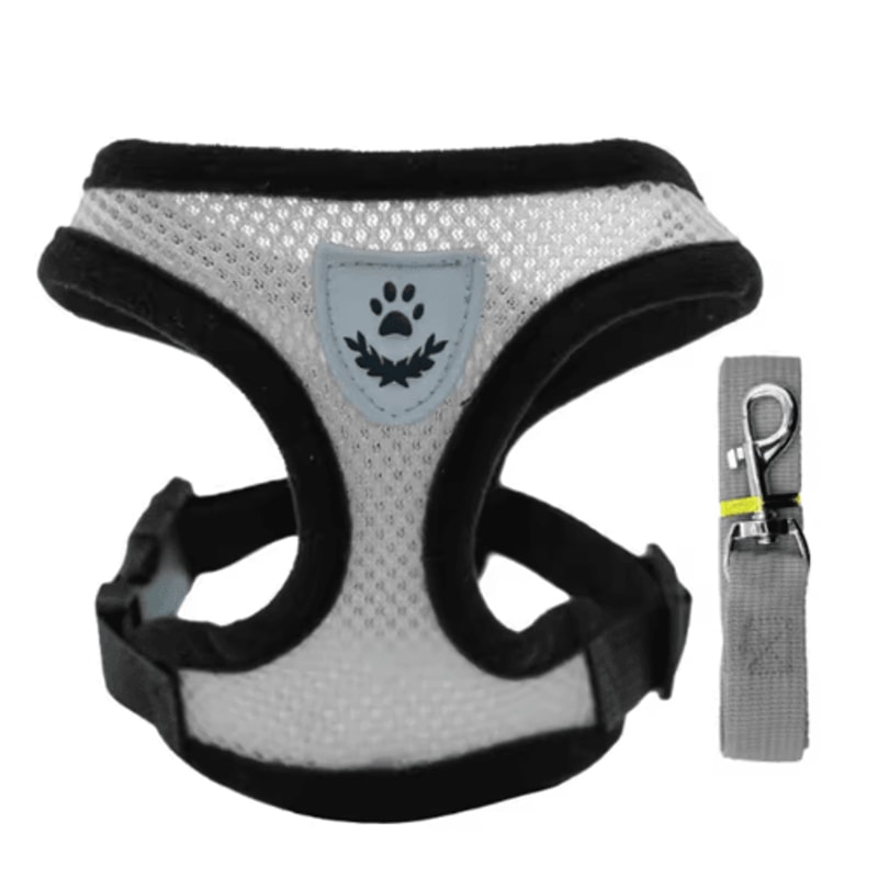 Breathable Summer Dog Harness Leash Set Lightweight Pet Chest Vest For Small Dogs Cats 6