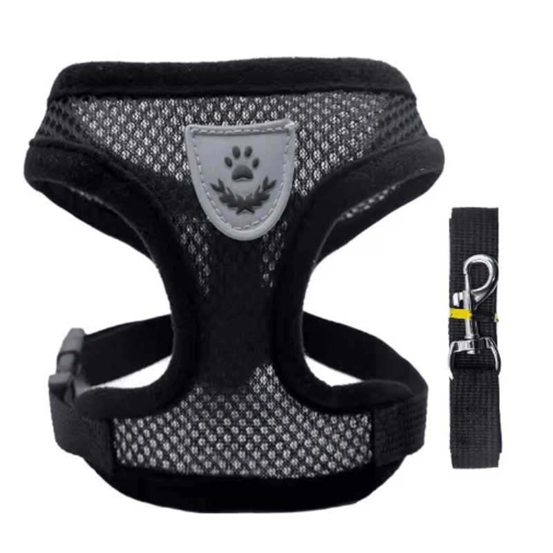 Breathable Summer Dog Harness Leash Set Lightweight Pet Chest Vest For Small Dogs Cats 9