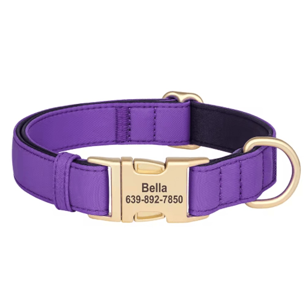 Personalized Waterproof Dog Collar Soft Padded Engraved Nylon Collar For Dogs 1