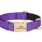 Personalized Waterproof Dog Collar Soft Padded Engraved Nylon Collar For Dogs 1