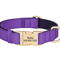 Personalized Waterproof Dog Collar Soft Padded Engraved Nylon Collar For Dogs 1