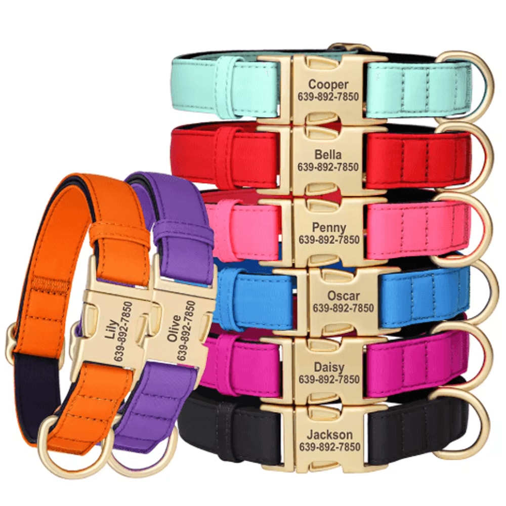 Personalized Waterproof Dog Collar Soft Padded Engraved Nylon Collar For Dogs 12