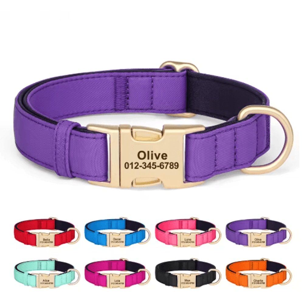 Personalized Waterproof Dog Collar Soft Padded Engraved Nylon Collar For Dogs 0