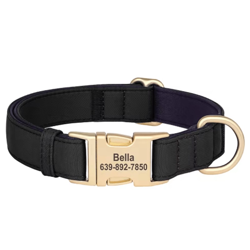 Personalized Waterproof Dog Collar Soft Padded Engraved Nylon Collar For Dogs 2
