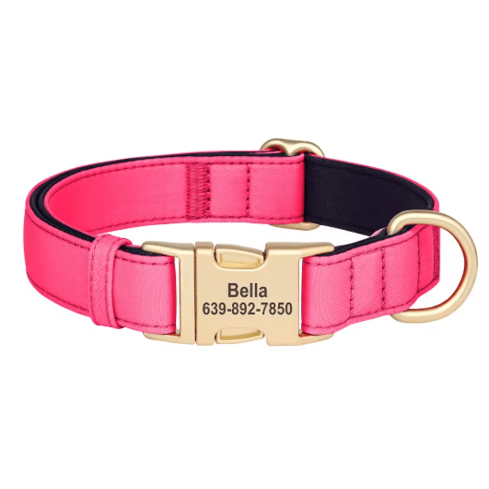 Personalized Waterproof Dog Collar Soft Padded Engraved Nylon Collar For Dogs 3
