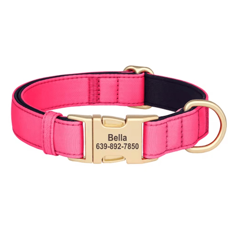 Personalized Waterproof Dog Collar Soft Padded Engraved Nylon Collar For Dogs 3