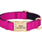 Personalized Waterproof Dog Collar Soft Padded Engraved Nylon Collar For Dogs 4