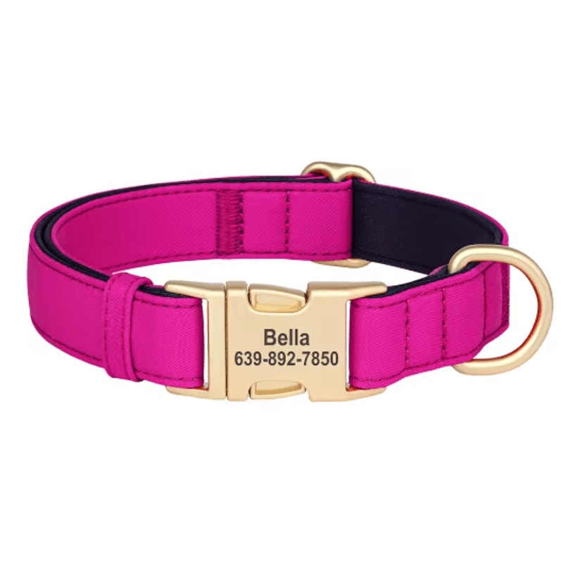 Personalized Waterproof Dog Collar Soft Padded Engraved Nylon Collar For Dogs 4