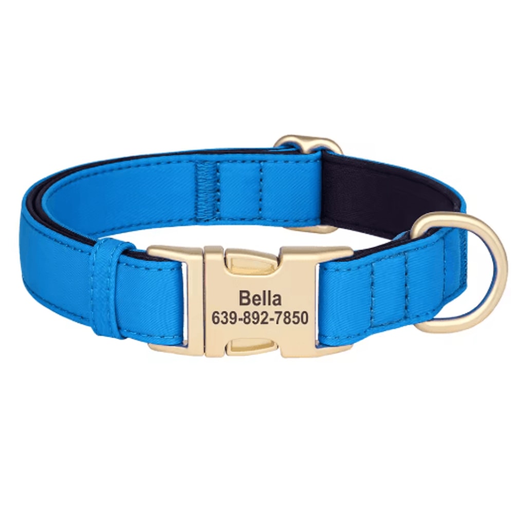 Personalized Waterproof Dog Collar Soft Padded Engraved Nylon Collar For Dogs 5
