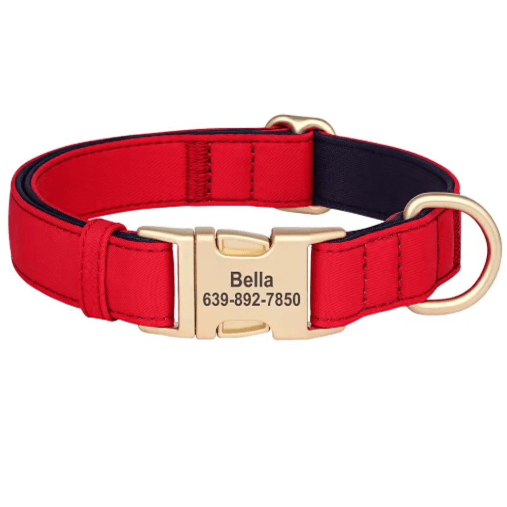 Personalized Waterproof Dog Collar Soft Padded Engraved Nylon Collar For Dogs 6