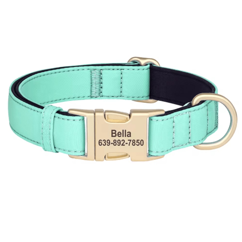 Personalized Waterproof Dog Collar Soft Padded Engraved Nylon Collar For Dogs 7