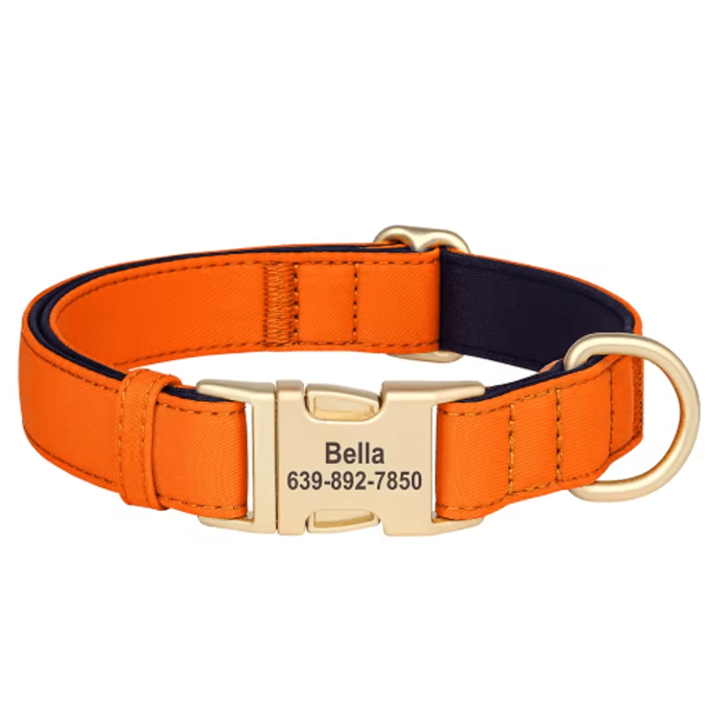 Personalized Waterproof Dog Collar Soft Padded Engraved Nylon Collar For Dogs 8