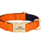 Personalized Waterproof Dog Collar Soft Padded Engraved Nylon Collar For Dogs 8
